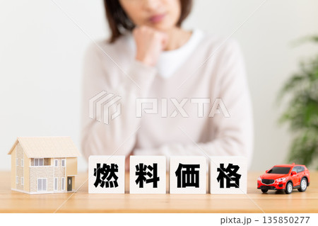 燃料価格のブロックと悩むミドル女性 135850277