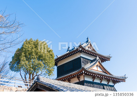 青空と東隅櫓の風景 135850336