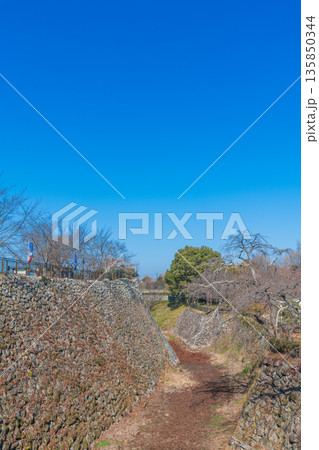 青空と大和郡山城の中堀 135850344
