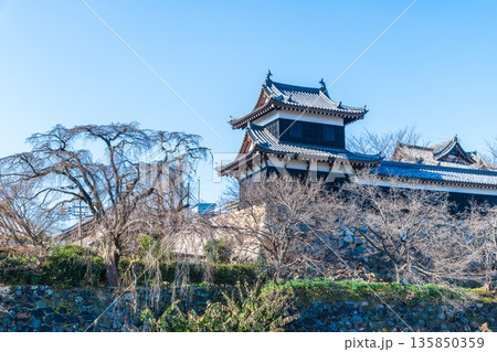 大和郡山城、桜御門付近から眺めた東隅櫓の風景 135850359