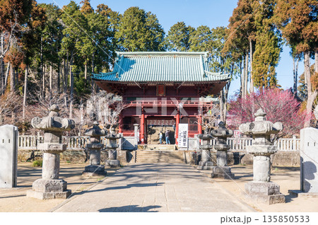 鹿野山神野寺-歴史的な寺院風景 鹿野山神野寺-歴史的な寺院風景 135850533