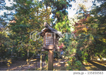 Nov 23 2025 Historic Kamigamo Shrine in Kyoto Japan Landscape 135850563
