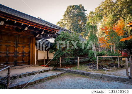 Nov 23 2025 Historic Kamigamo Shrine in Kyoto Japan Landscape 135850566