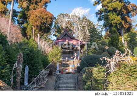 鹿野山 神野寺 奥之院へ続く石段と森に佇む静かな社殿 135851029