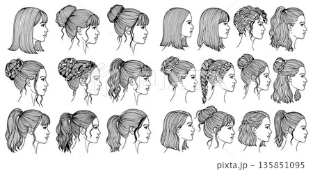 Collection of diverse female hairstyles illustrated in profile view Collection of diverse female hairstyles illustrated in profile view 135851095