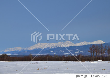 清里向陽から見た知床連山 135851378