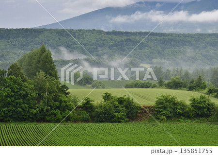 清里江南春の風景 135851755