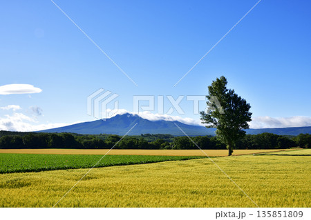 清里上斜里の風景 135851809