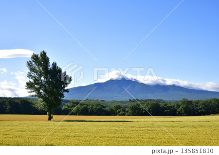 清里上斜里の風景 135851810