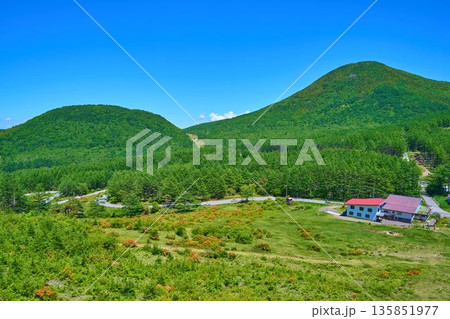 初夏の長野県東御市(群馬県嬬恋村)地蔵峠の湯の丸高原スキー場、観光施設、西篭ノ登山を見る 135851977