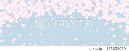 桜の花と春のスモーキーな空の横長背景イラスト 桜の花と春のスモーキーな空の横長背景イラスト 135852069