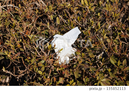 捨てられていたティッシュ 135852113