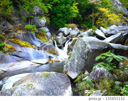 紅葉に映える渓谷 135852132