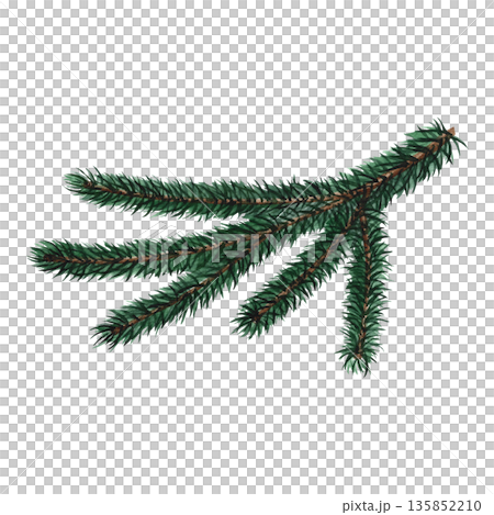 Spruce branch. Hand-drawn watercolor illustration. Isolated. An element of your Christmas and New Year design for greeting cards, posters, banners, packaging, and more. Spruce branch. Hand-drawn watercolor illustration. Isolated. An element of your Christmas and New Year design for greeting cards, posters, banners, packaging, and more. 135852210
