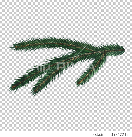 Spruce branch. Hand-drawn watercolor illustration. Isolated. An element of your Christmas and New Year design for greeting cards, posters, banners, packaging, and more. Spruce branch. Hand-drawn watercolor illustration. Isolated. An element of your Christmas and New Year design for greeting cards, posters, banners, packaging, and more. 135852212