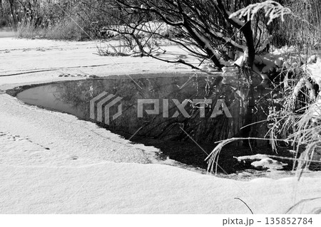 結氷が進む「1月のウトナイ湖」氷点下の朝に見せる「霧氷」白黒 135852784