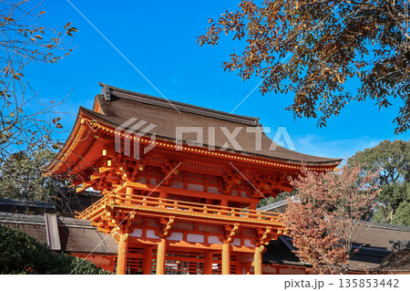 Nov 23 2025 Historic Kamigamo Shrine in Kyoto Japan Landscape 135853442