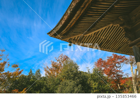Nov 23 2025 Historic Shorin in Temple Temple Surrounded by Scenic Nature Nov 23 2025 Historic Shorin in Temple Temple Surrounded by Scenic Nature 135853466