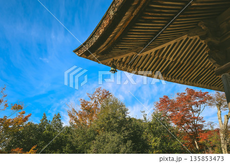 Nov 23 2025 Historic Shorin in Temple Temple Surrounded by Scenic Nature 135853473
