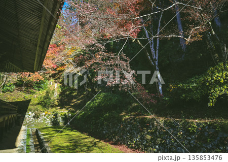 Nov 23 2025 Historic Shorin in Temple Temple Surrounded by Scenic Nature 135853476