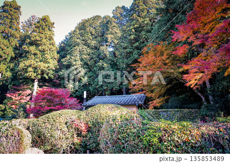 Nov 23 2025 Historic Shorin in Temple Temple Surrounded by Scenic Nature 135853489