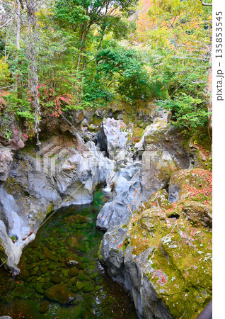 景ヶ島九折滝 裾野市 景ヶ島九折滝 裾野市 135853545