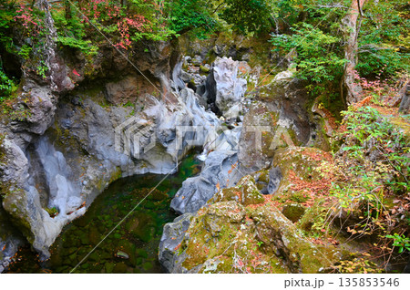 景ヶ島九折滝　裾野市 135853546