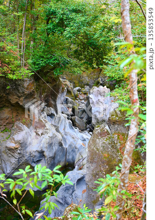 景ヶ島九折滝 裾野市 景ヶ島九折滝 裾野市 135853549
