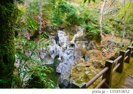 景ヶ島九折滝 裾野市 景ヶ島九折滝 裾野市 135853652