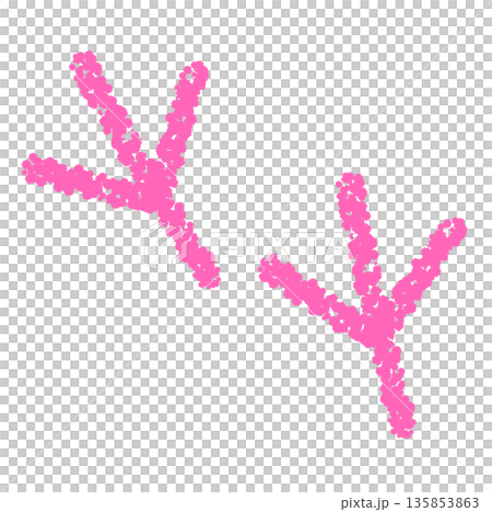 Crayon material: Hand-drawn bird footprint illustration 135853863