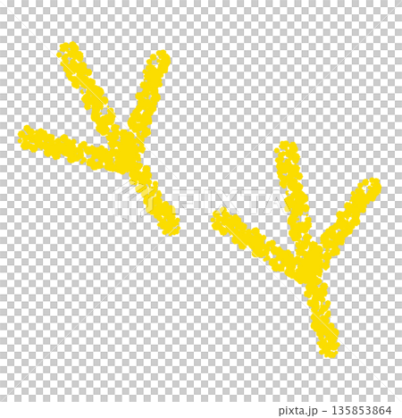 Crayon material: Hand-drawn bird footprint illustration 135853864