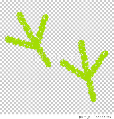 クレヨン素材　手描きの鳥の足跡のイラスト 135853865