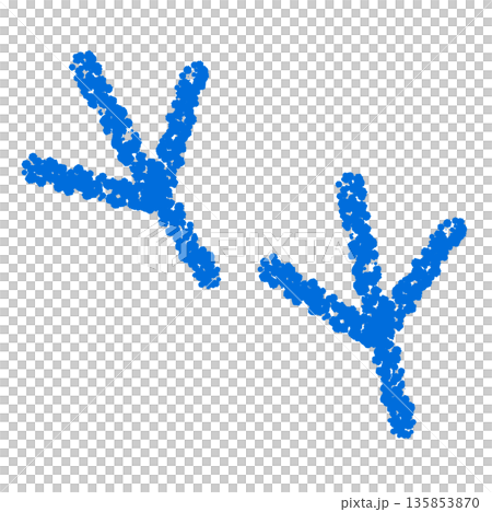 Crayon material: Hand-drawn bird footprint illustration Crayon material: Hand-drawn bird footprint illustration 135853870