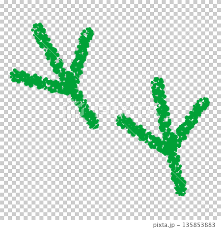 Crayon material: Hand-drawn bird footprint illustration 135853883