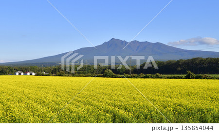 清里秋のキカラシ畑 135854044