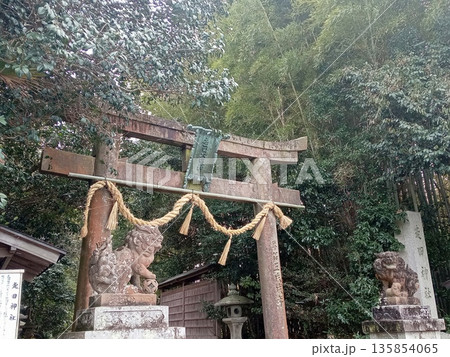 走田神社　鳥居 135854065