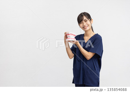 白背景の前で歯の模型を持って微笑む紺色の医療用スクラブを着た若い女性 白背景の前で歯の模型を持って微笑む紺色の医療用スクラブを着た若い女性 135854088