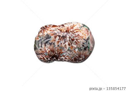 Flower Rhyolite (Green flower jasper) 135854177