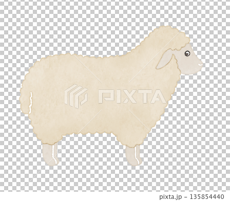 A gentle hand-drawn illustration of a white sheep 135854440