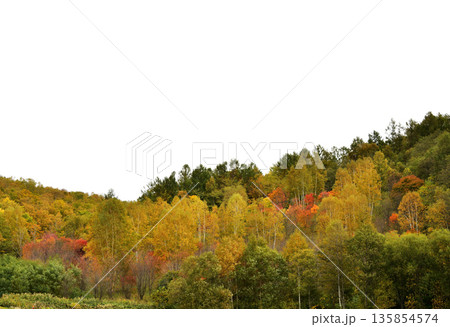 清里町郊外の紅葉 清里町郊外の紅葉 135854574