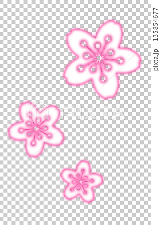 A vibrant pink cherry blossom illustration A vibrant pink cherry blossom illustration 135854677