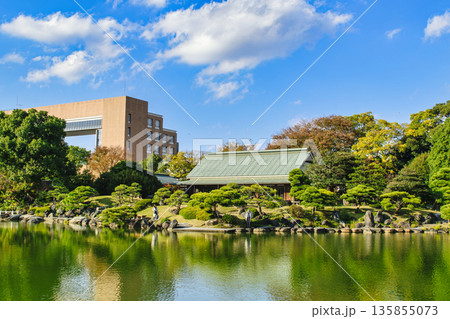 東京都　江東区　清澄庭園　大泉水　磯渡りの飛び石風景　大正記念館付近　都措定名勝 135855073