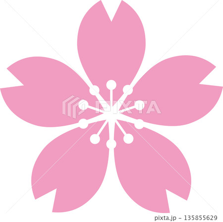 桜の花のシンプルイラスト。春を象徴するサクラのフラットデザイン・アイコン素材 桜の花のシンプルイラスト。春を象徴するサクラのフラットデザイン・アイコン素材 135855629