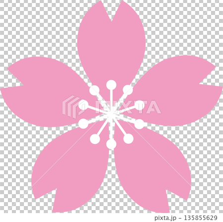 桜の花のシンプルイラスト。春を象徴するサクラのフラットデザイン・アイコン素材 桜の花のシンプルイラスト。春を象徴するサクラのフラットデザイン・アイコン素材 135855629