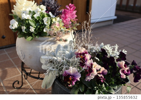 玄関先に飾られた花の寄せ植え 135855632