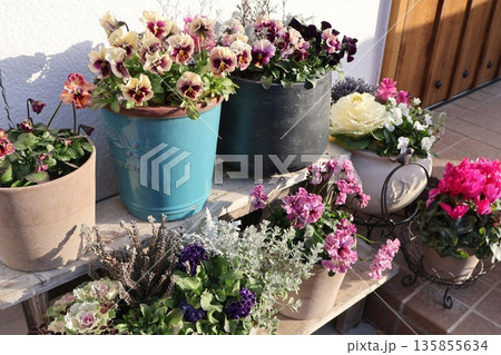 花台に置かれた花の寄せ植え＆寄せ鉢 135855634