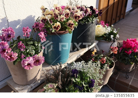 花台に置かれた花の寄せ植え＆寄せ鉢 135855635