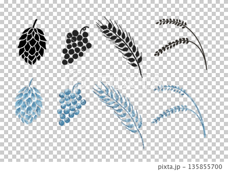 用於釀酒的植物 - 手繪插圖，水彩風格 135855700