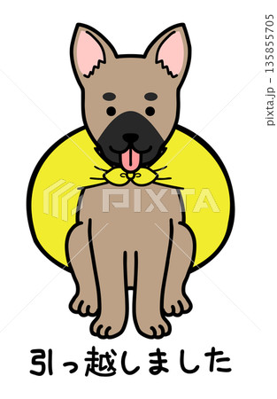 犬をモデルにした引っ越しましたのイラスト 135855705