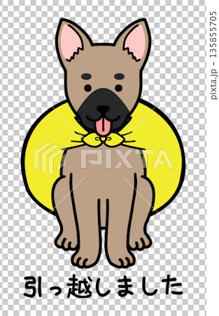 犬をモデルにした引っ越しましたのイラスト 135855705